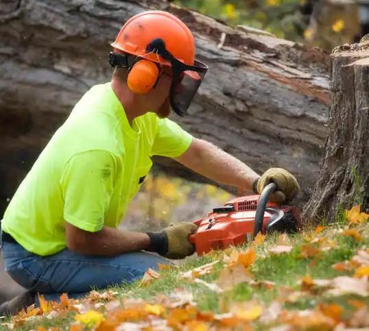 tree services Water Valley